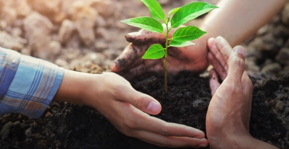 Natur & Umwelt gemeinsam erleben und schützen