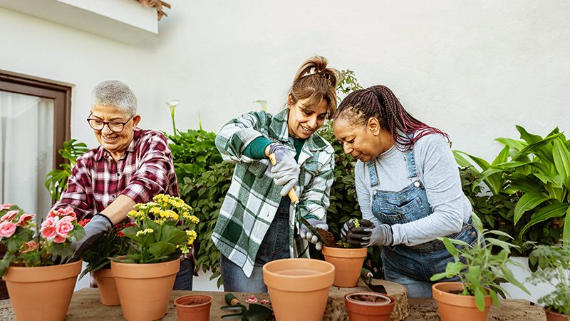 Drei Freundinnen setzen gemeinsam Pflanzen in Töpfe ein