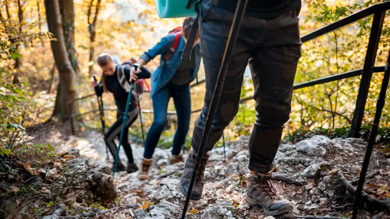 Drei Wanderer gehen einen steinigen Weg hinauf