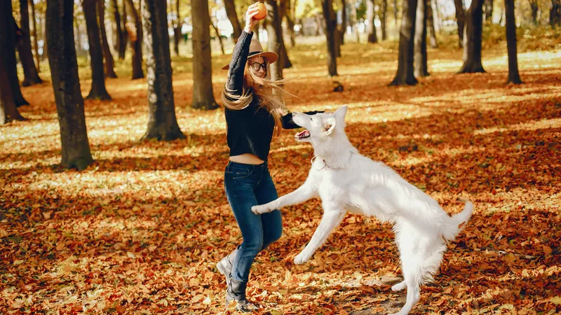 Frau spielt im Park mit ihrem weißen Hund Ball