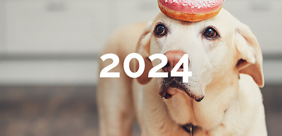 Neujahrsvorsätze 2024 einhalten mit GemeinsamErleben