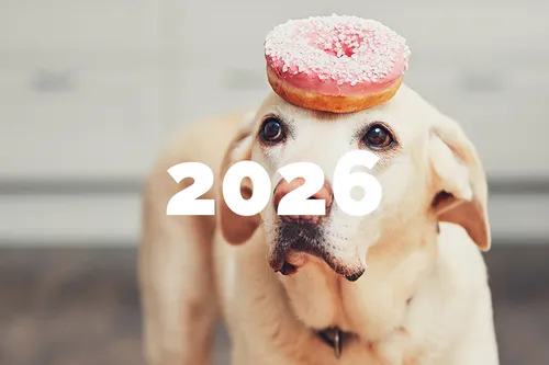 Neujahrsvorsätze 2026 einhalten