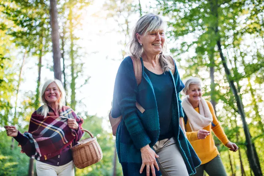 Drei ältere Freundinnen wandern gut gelaunt gemeinsam durch den Wald